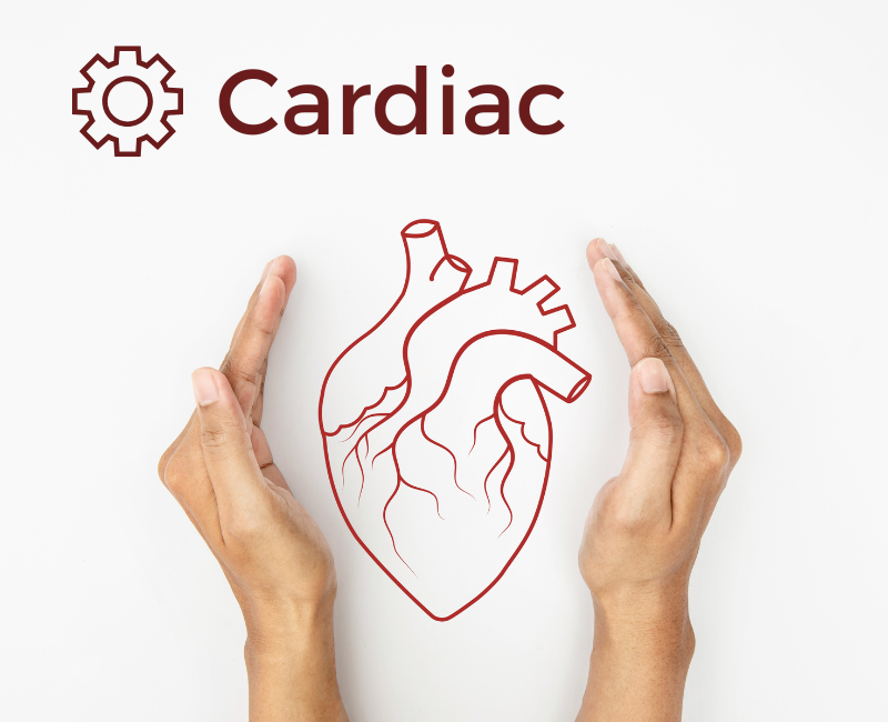 New OLM | A sonographers guide to Hypertrophic Cardiomyopathy